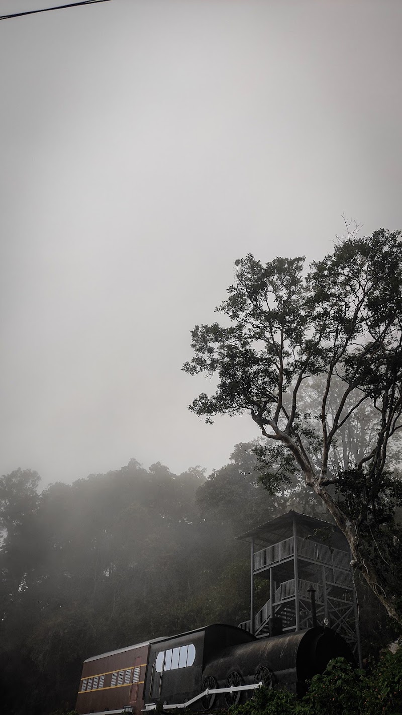Munnar views - Munnar views 33Q5+HRC, Munnar - Udumalpet Rd, Nullatanni, Munnar, Kerala 685612, India