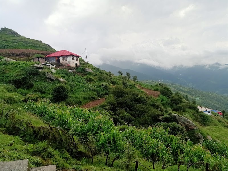 Churdhar Trek point - Churdhar Trek point, RC99+6P, Nohra, Bhog Batewari, Himachal Pradesh 173104, India