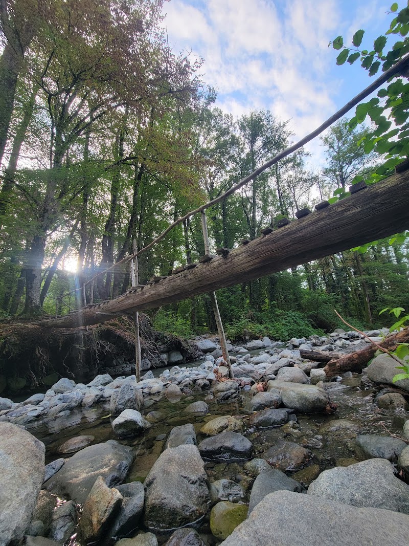Ninoskhevi Waterfall Trailhead - ნინოსხევის ჩანჩქერის ბილიკის დასაწყისი - Ninoskhevi Waterfall Trailhead - ნინოსხევის ჩანჩქერის ბილიკის დასაწყისი, Lagodekhi Municipality, Georgia