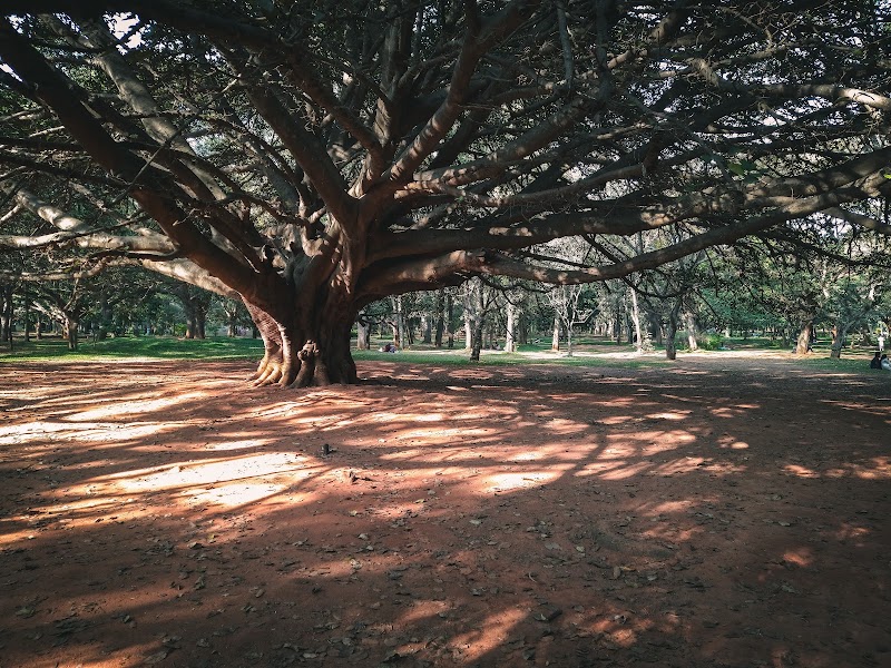 Ring wood circle cubbon park - Ring wood circle cubbon park Cubbon Park Rd, Nunegundlapalli, Ambedkar Veedhi, XHFR+QG3, Nunegundlapalli, Sampangi Rama Nagara, Bengaluru, Karnataka 560001, India