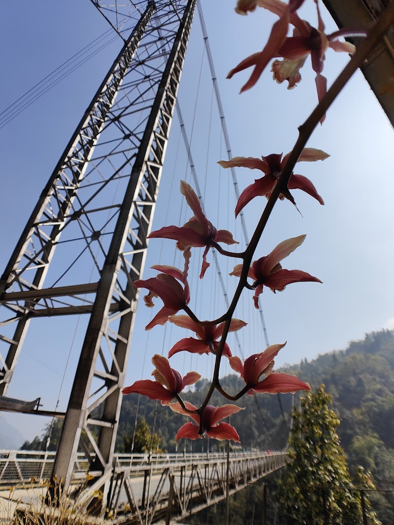 Singshore Suspension Bridge - Singshore Suspension Bridge 7467+559, Singshore Bridge, Sikkim 737113, India