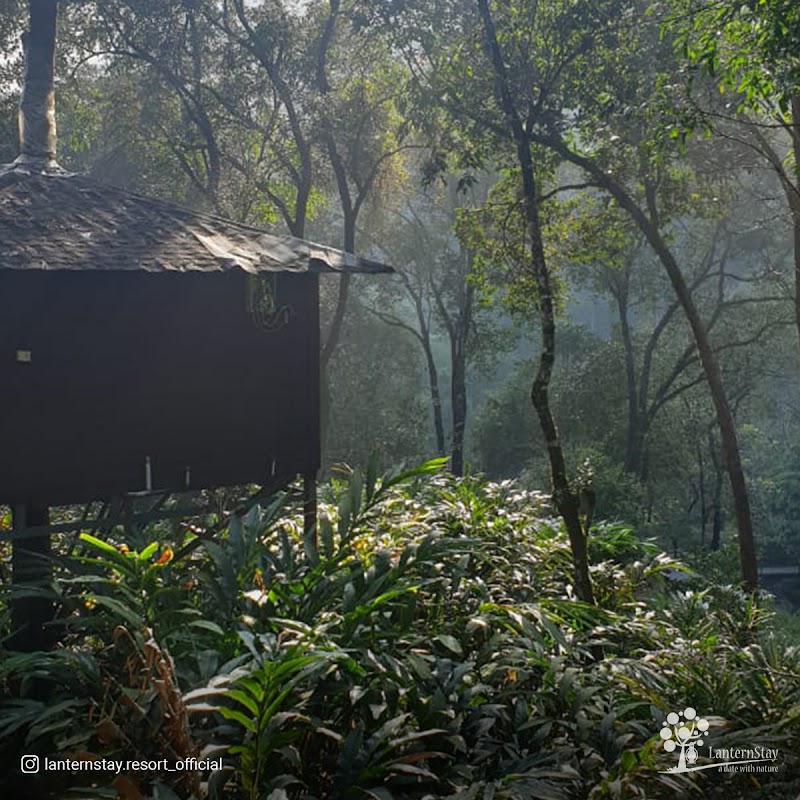 LanternStay - Resort in Wayanad - Camping and Tent Stay - Nearby Vythiri Village - LanternStay - Resort in Wayanad - Camping and Tent Stay - Nearby Vythiri Village Meppadi, Kottappadi part, Kerala 673577, India