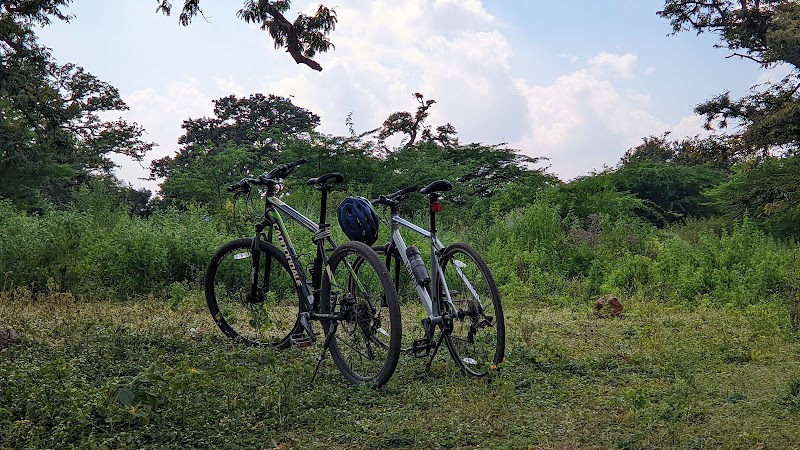 Nalluru Heritage Tamarind Grove (Nalluru Kote) - Nalluru Heritage Tamarind Grove (Nalluru Kote), 5QX9+356, Devanahalli, Nallur, Bendiganahalli, Nallur Amari, Karnataka 562129, India