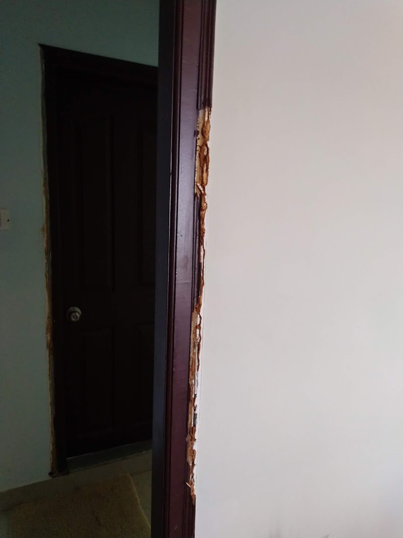 We Care Pest Solutions - Bangalore Cockroach Control Services Specialist - We Care Pest Solutions - Bangalore Cockroach Control Services Specialist, 2nd Floor, 389, 14th Cross Rd, Sarakki Nagar, Shastri Nagar, Banashankari, Bengaluru, Karnataka 560028, India
