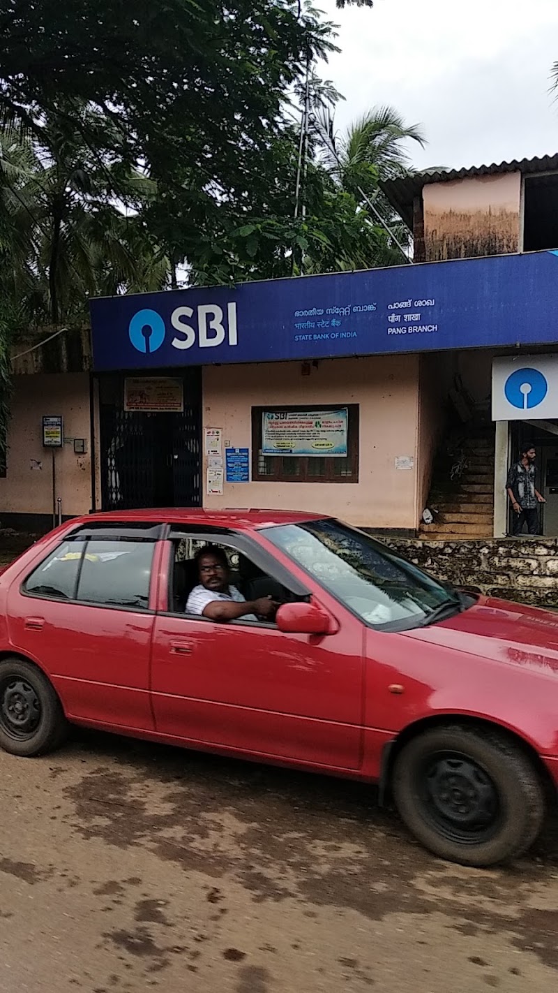 SBI Branch Palod - SBI Branch Palod, Palod Block, M.P, Arang, Raipur, Chhattisgarh 492101, India