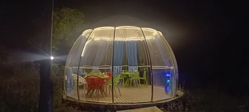 Anandam Farms & Cafe Machaan - Anandam Farms & Cafe Machaan Behind Indecampus Hostel Doonga Bhauwala, Road, Kanswali Kodari, Uttarakhand 248007, India