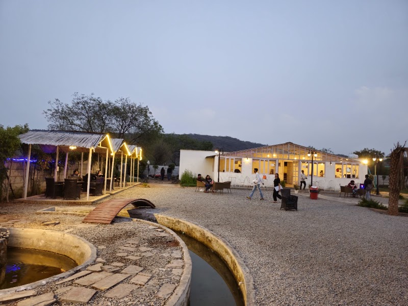 Ducks and Dogs Cafe - Ducks and Dogs Cafe Pandala Hills, Garat Pur Bas, Haryana 122101, India