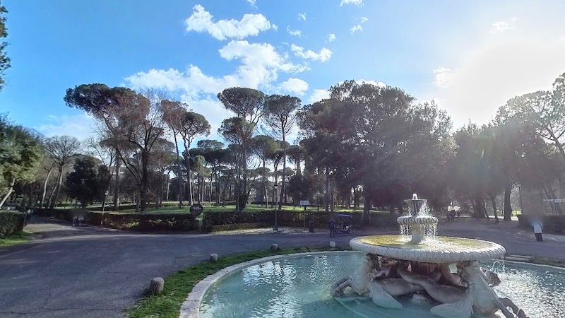 Fountain of the Seahorses - Fountain of the Seahorses, Viale dei Cavalli Marini, 00197 Roma RM, Italy