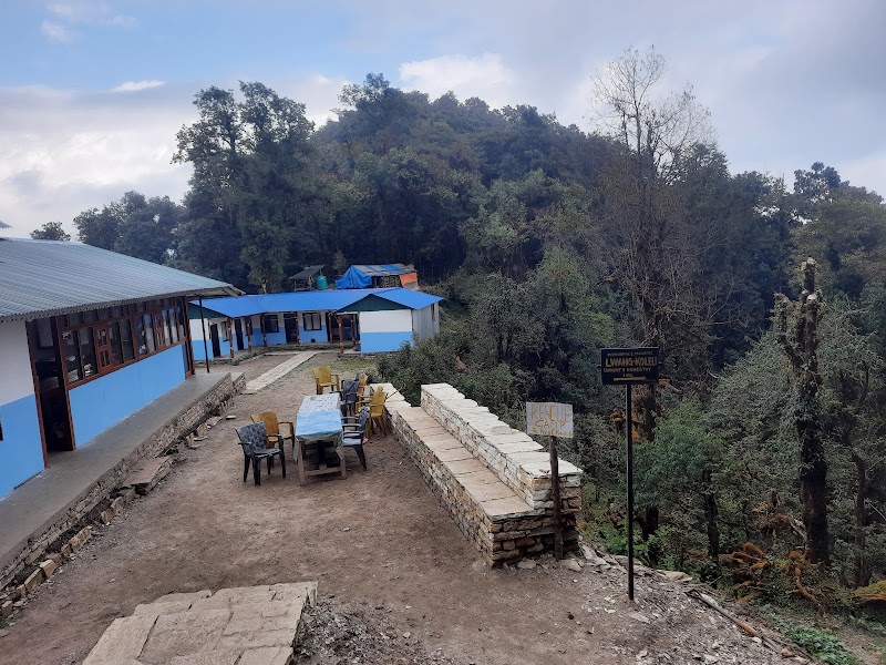 pittam deurali - pittam deurali Nepal, Lumle, Annapurna-7