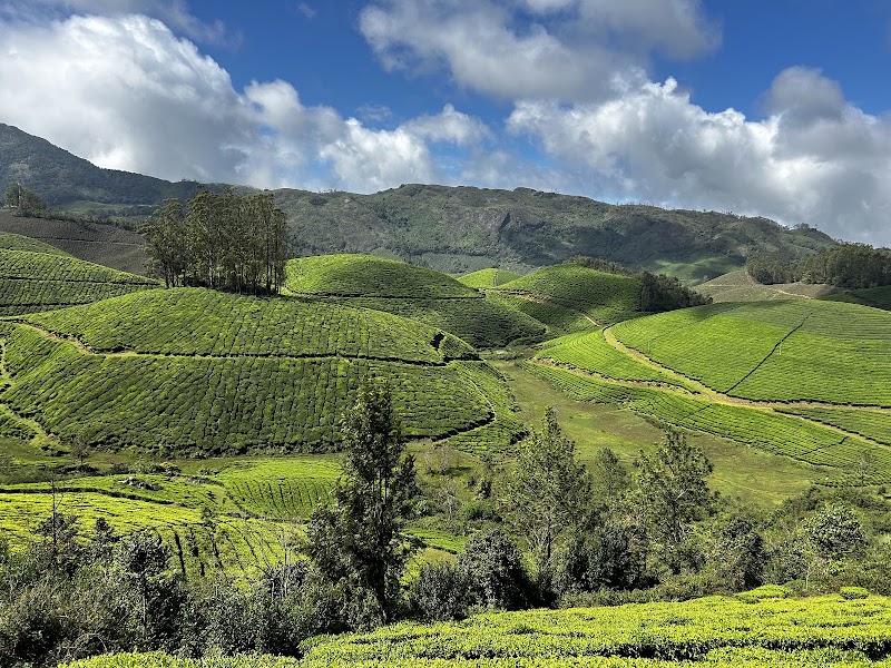 SRUTI TOURS & TRAVELS