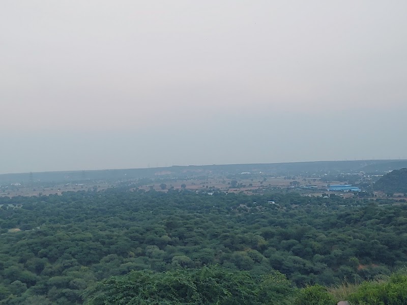 Pandala Hills Drive - Pandala Hills Drive Aravali Adventure Hill, Unnamed Road, 9X9W+H7P, Haryana 122101, India