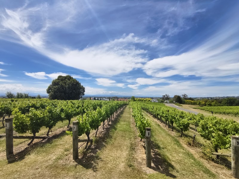 Black Barn Vineyards