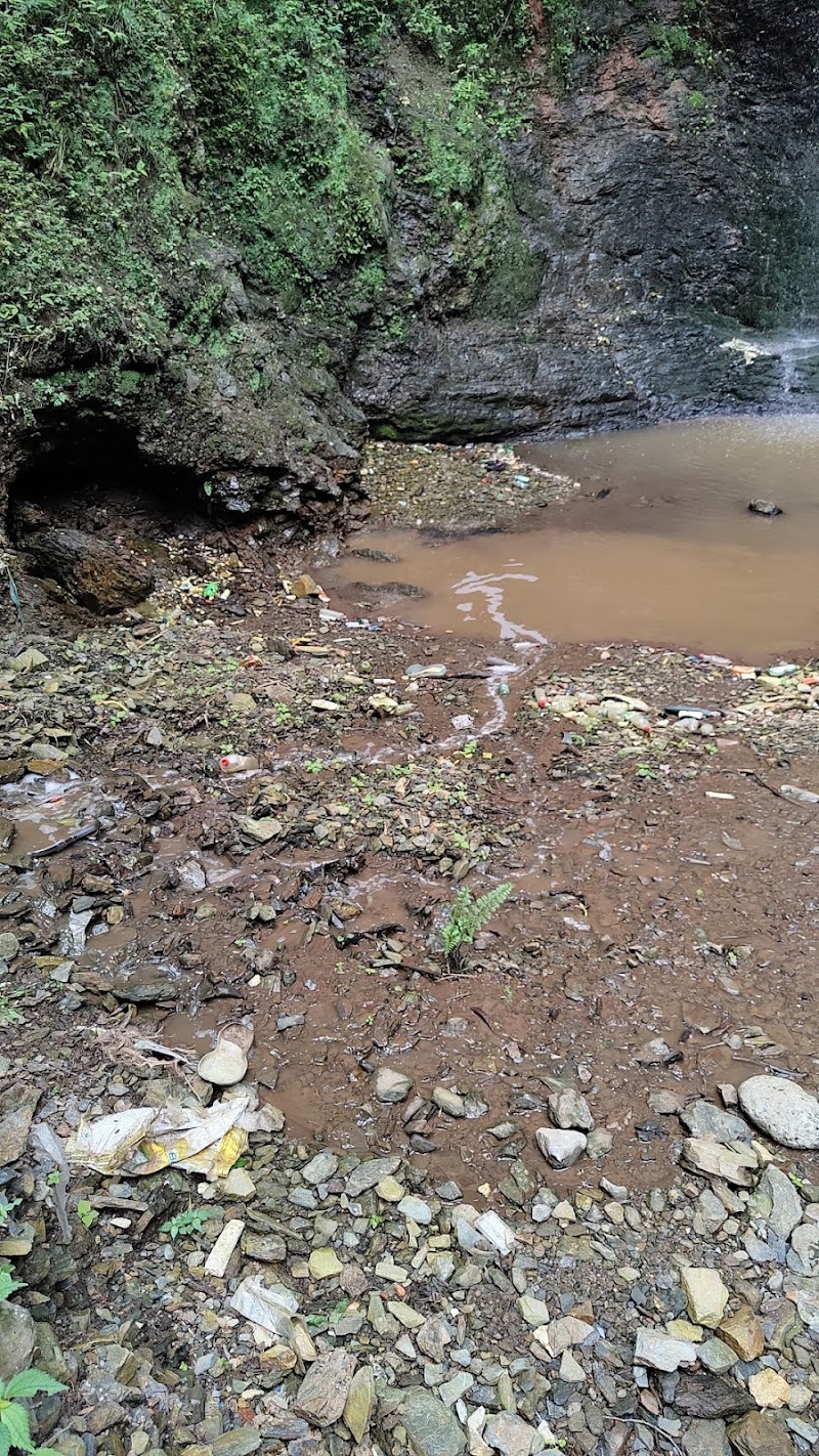Chadwick Falls - Chadwick Falls 449Q+VH3, Shimla, Himachal Pradesh 171005, India