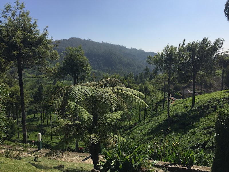 LOVER'S LEAP The Ethical TEA Boutique - LOVER'S LEAP The Ethical TEA Boutique XQCW+2HR, Nuwara Eliya, Sri Lanka