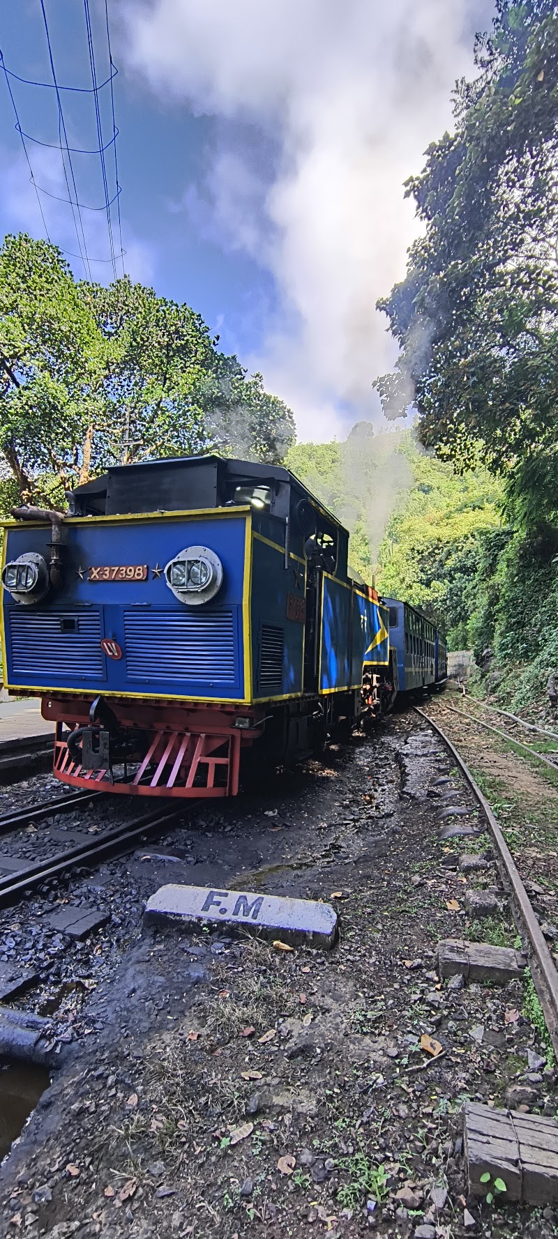 Nilgiri Mountain Railways