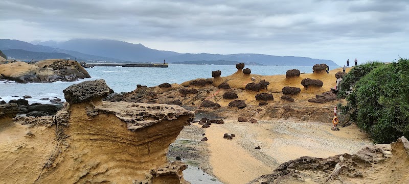 Yeliu Geology Park [Taiwan Tourist Shuttle] - Yeliu Geology Park [Taiwan Tourist Shuttle], Wanli District, New Taipei City, Taiwan 207