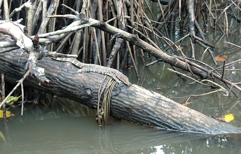 Bentota Ganga