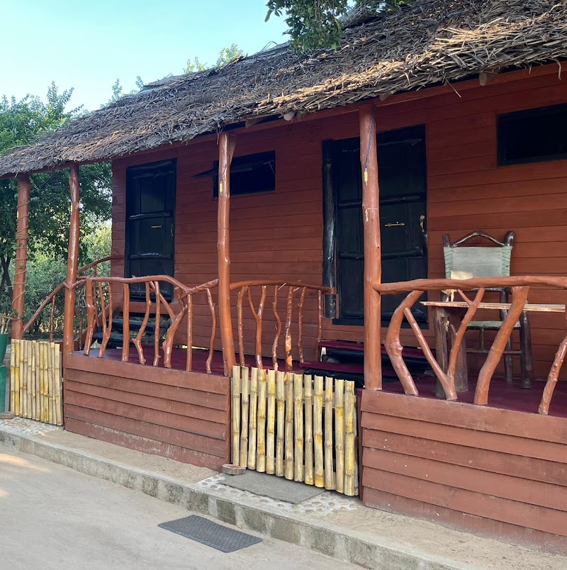 Yala Wild Safaris Camp by Malith - Yala Wild Safaris Camp by Malith, Rotawewa Sithulpahuwa Road Yodakandiya, Tissamaharama 82600, Sri Lanka