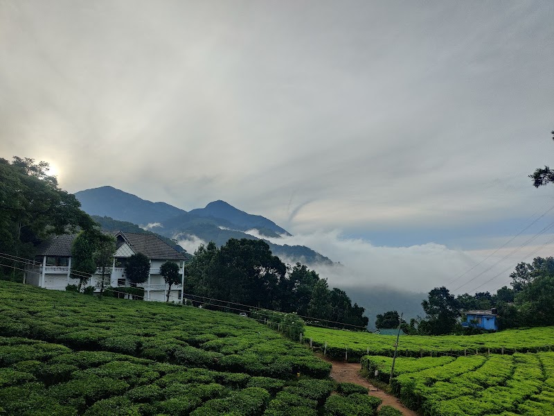 Gruenberg Tea Plantation Haus - Gruenberg Tea Plantation Haus Power house Road, Dobipalam, Chithirapuram, Kerala 685565, India