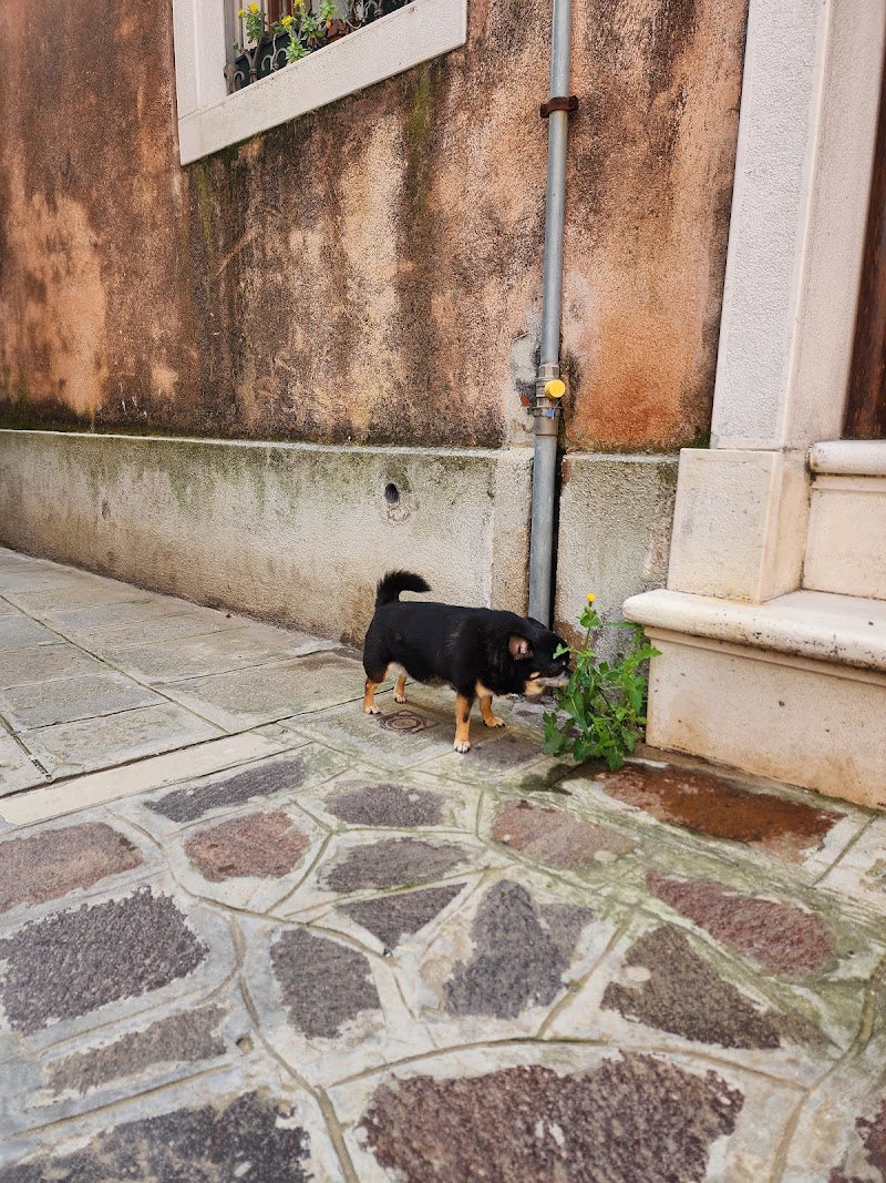Ca' de la Porpora - Ca' de la Porpora Cannaregio, 2949/B, 30121 Venezia VE, Italy