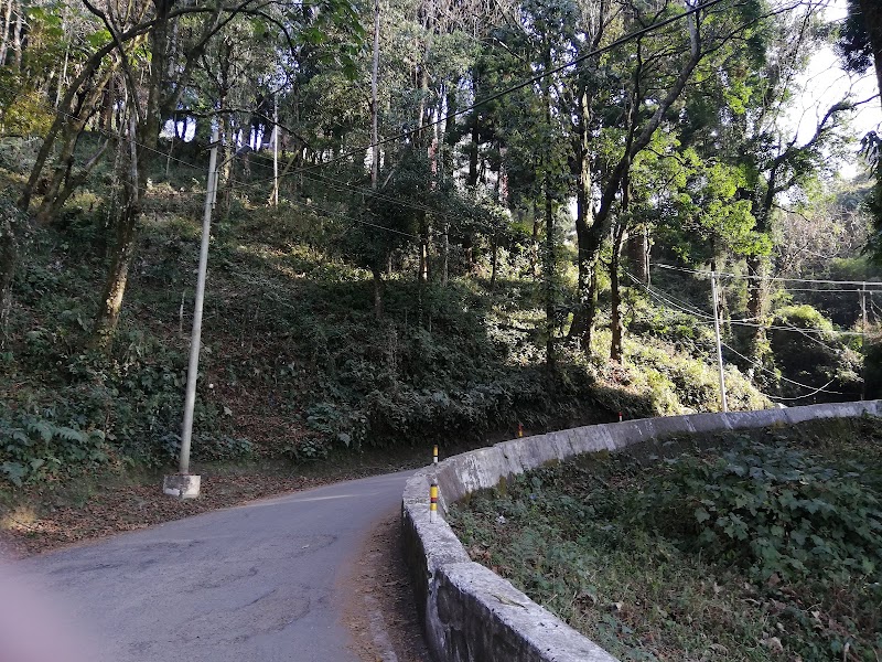 Jalapahar - Jalapahar, Darjeeling, West Bengal, India