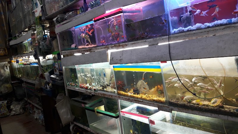Sea world fish aquarium - Sea world fish aquarium 34PW+VHX, Civil Lines, Bilaspur, Masanganj, Chhattisgarh 495001, India