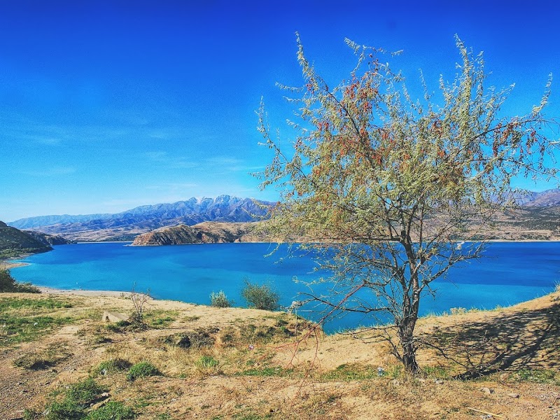 Bostanlik District - Bostanlik District, Tashkent Region, Uzbekistan