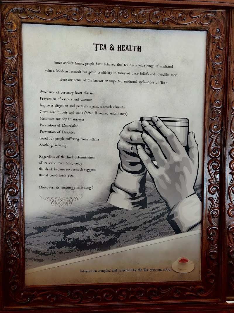 The Tea Factory & The Tea Museum - The Tea Factory & The Tea Museum Dodabetta Road, Mel Koddapmund, Thalayathimund, Ooty, Tamil Nadu 643002, India