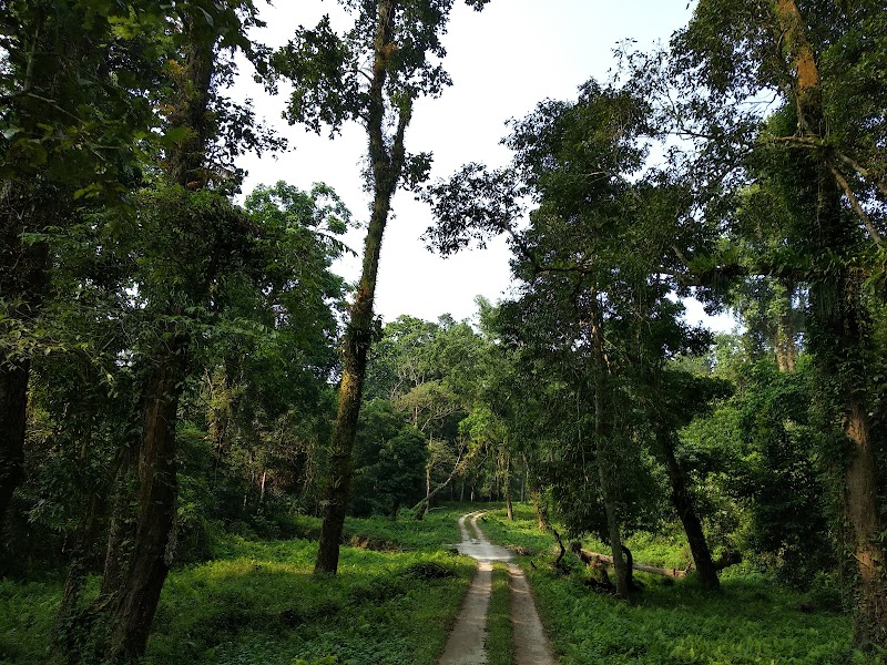 Gorumara National Park - Gorumara National Park, Jalpaiguri, West Bengal 735101, India