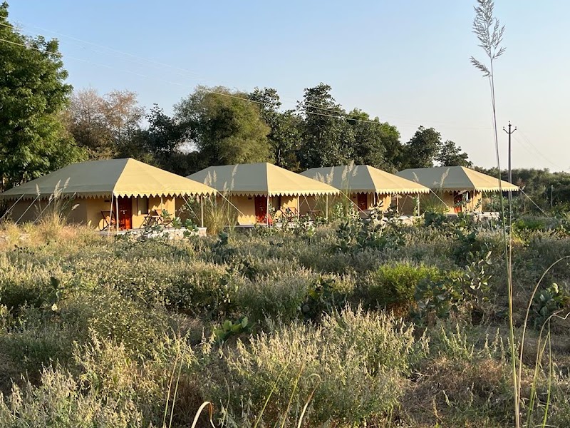 Dera Jawai - Dera Jawai Jawai Bandh Tehsil, Jeewada, Rajasthan 306707, India