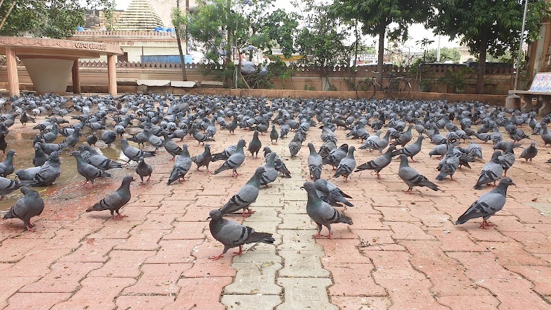 Sudama Temple, Porbandar - Sudama Temple, Porbandar, Sudama Chowk, Sudama Puri, Bhatia Bazar Old, Porbandar, Gujarat 360575, India