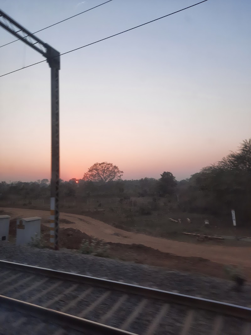 Nagpur - Nagpur, Maharashtra, India