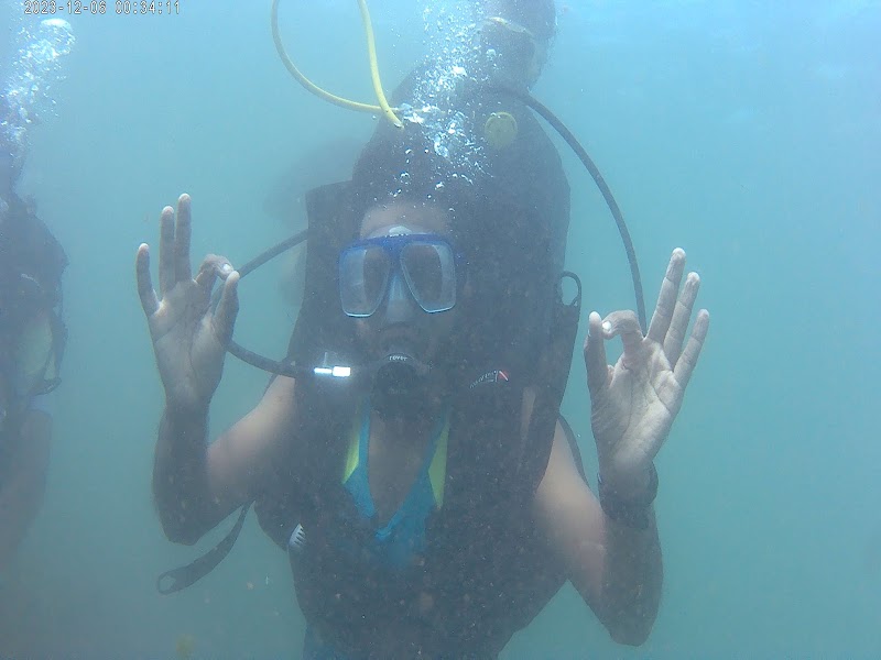 Dive Vengurla Deep sea diving at Nivti Rocks - Dive Vengurla Deep sea diving at Nivti Rocks, Near Dandeshwar Mandir, Dandi beach, At post, taluka, Malvan, Maharashtra 416606, India