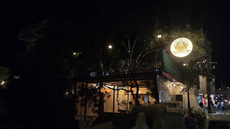 Cafe Forest Floor - Cafe Forest Floor 44 near, Chandpole Bridge, Outside Chandpole, Ambamata, Udaipur, Rajasthan 313001, India