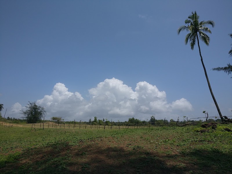 Talpona - Talpona Talpona, Goa 403702