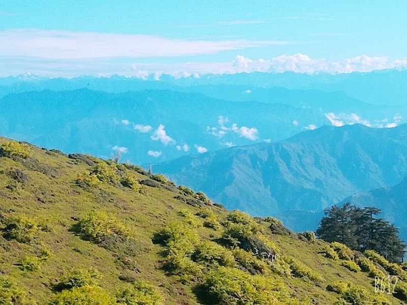 Deoban Trekking (Kaushik's Cafe & Trek) - Deoban Trekking (Kaushik's Cafe & Trek), Lohari Lokhandi, Chakrata, Luhari, Uttarakhand 248123, India