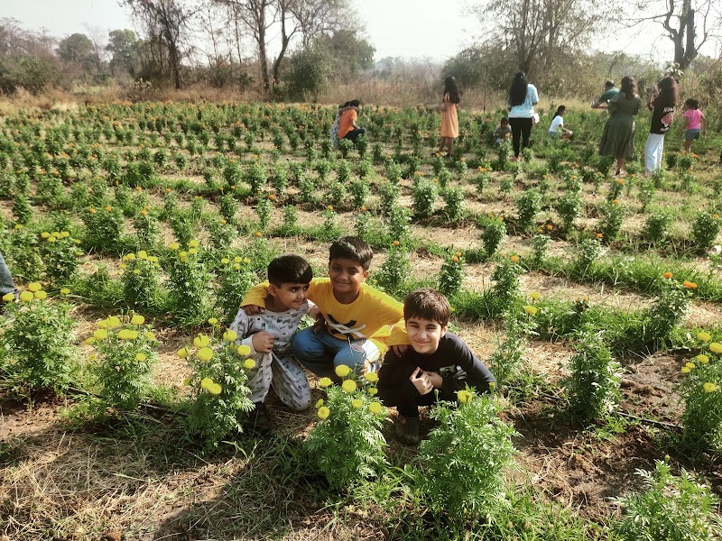 Naturre Vibes - Naturre Vibes Ekta chs opp Santoshi mata temple lbs road, west, Govardhan Nagar, Mulund West, Mumbai, Maharashtra 400080, India