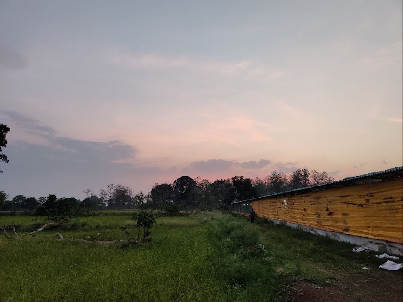 Uttam animal husbandry - Uttam animal husbandry, Dandesara, Chhattisgarh 491001, India