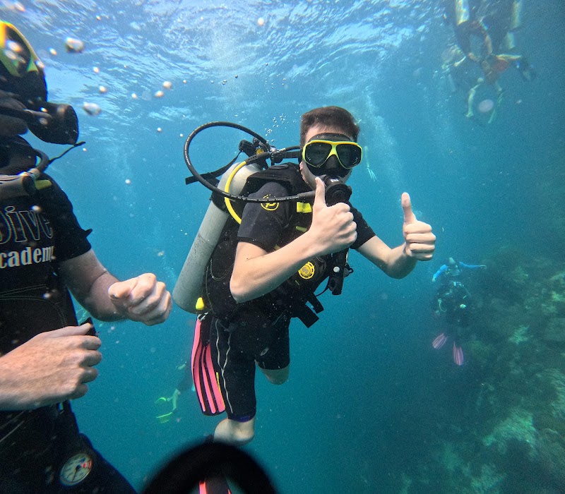 The Dive Academy - The Dive Academy, 157, 15, Tambon Bo Put, Amphoe Ko Samui, Chang Wat Surat Thani 84320, Thailand