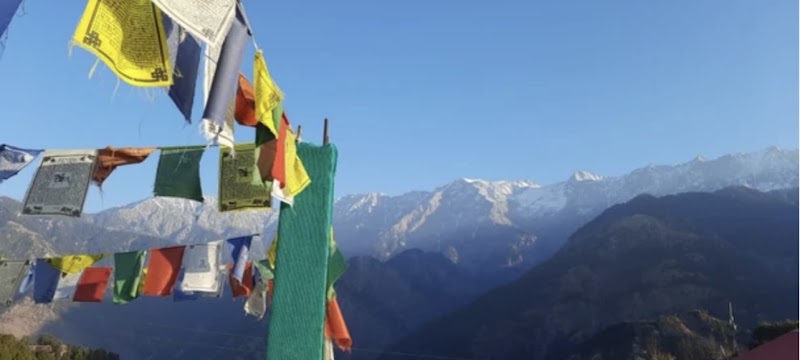 Shoolin Mountain Homestay - shoolin mountain homestay, Chohla, Tahu, Dharamshala, Himachal Pradesh 176215, India