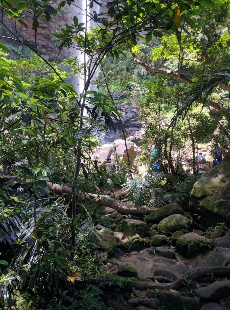 Pinaisara Falls - Pinaisara Falls Uehara, 竹富町 Taketomi, Yaeyama District, Okinawa 907-1541, Japan