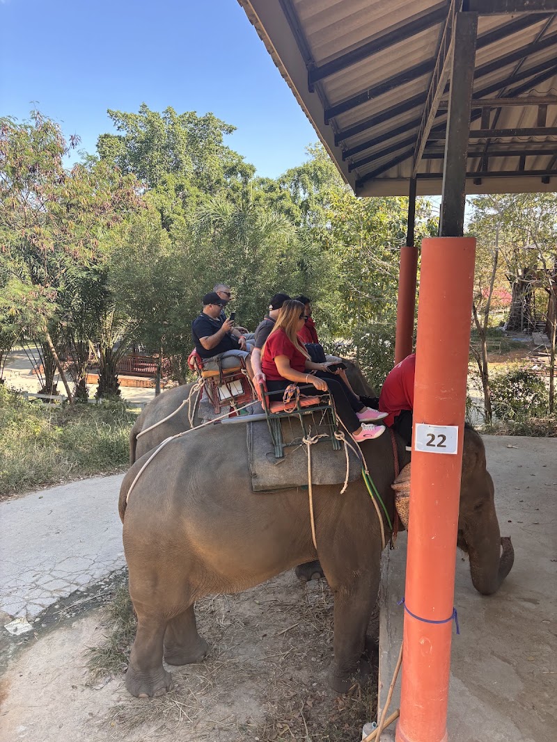 Pattaya Ethical Elephant Tour (Living Green Elephant Sanctuary) - Pattaya Ethical Elephant Tour (Living Green Elephant Sanctuary) 524 Soi Buakhao, Muang Pattaya, Amphoe Bang Lamung, Chang Wat Chon Buri 20150, Thailand