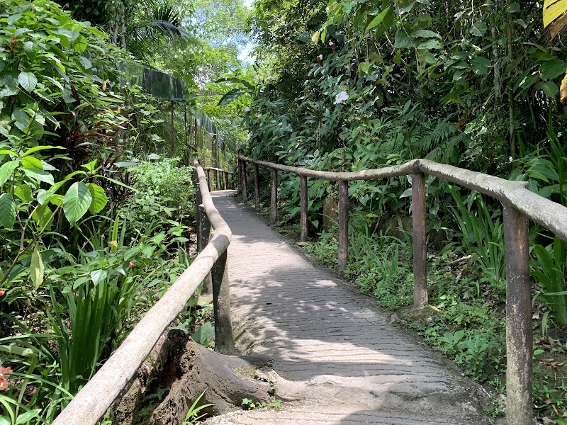 Bohol Tarsier Conservation Area - Bohol Tarsier Conservation Area, Villa Aurora, Bilar, 6317 Bohol, Philippines
