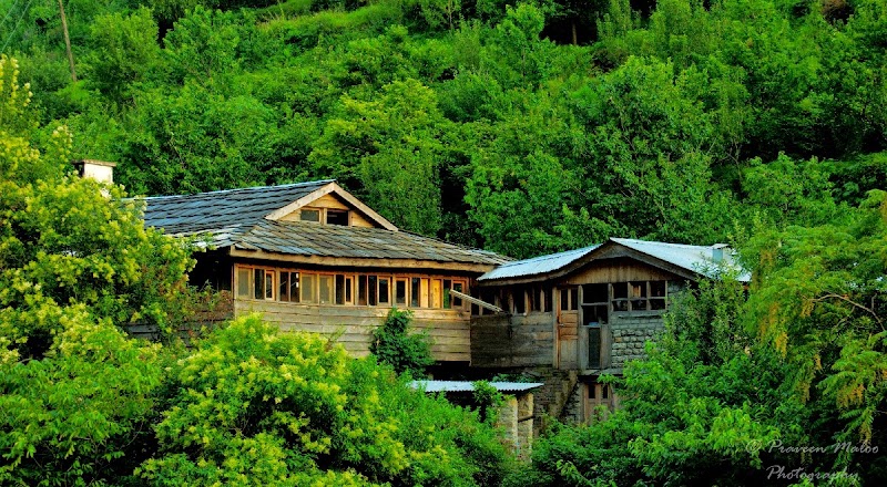 Tirthan Trails - Tirthan Trails 1km milestone, across Goshaini, Gushaini, Pekhri, Himachal Pradesh 175123, India