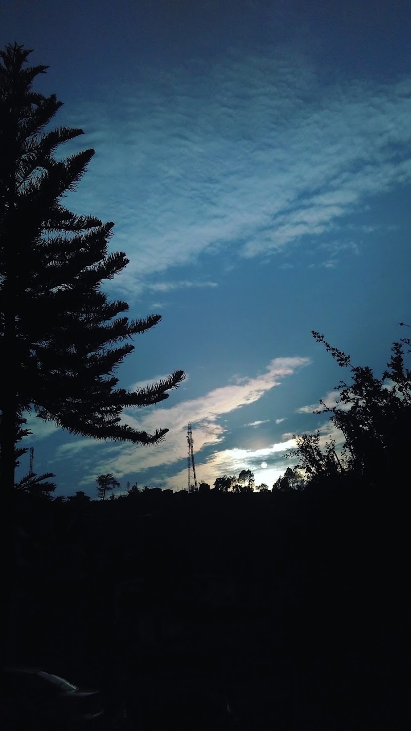Pine Wood Resort - Pine Wood Resort, 9H82+225, Bhimtal, Uttarakhand 263136, India