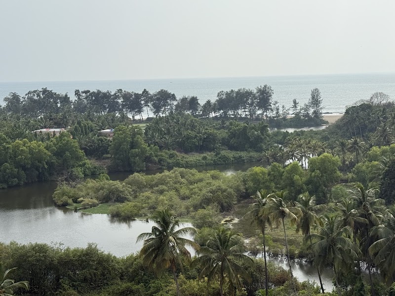 74 NE Rooftop Bistro - 74 NE Rooftop Bistro, 6th Floor, Gateway Goa, Palolem, Canacona, Goa 403702, India