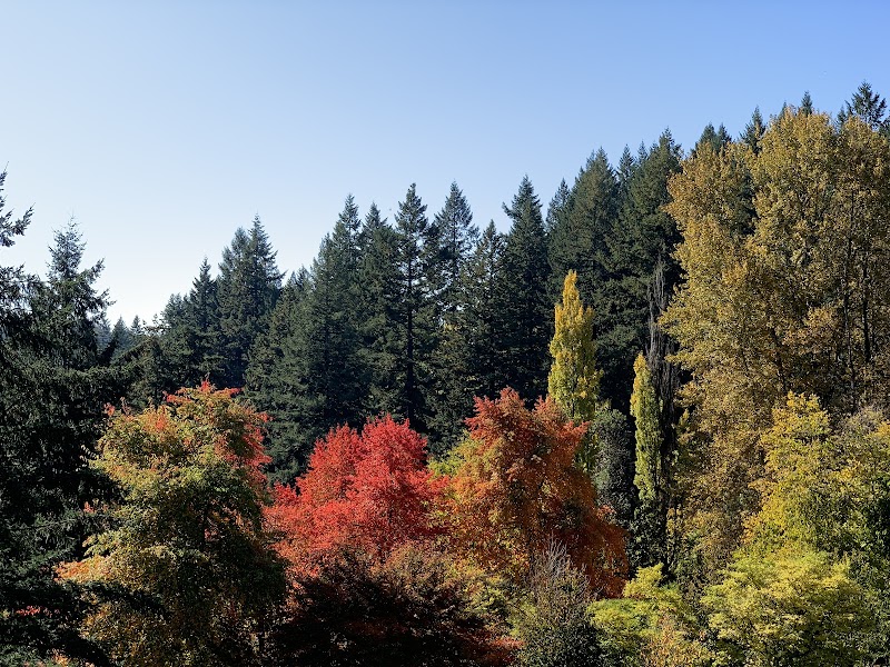 Hoyt Arboretum - Hoyt Arboretum, 4000 SW Fairview Blvd, Portland, OR 97221, USA