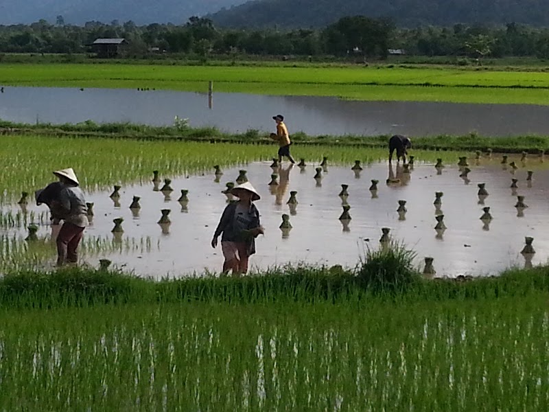 Muang Champassak - Muang Champassak, Laos