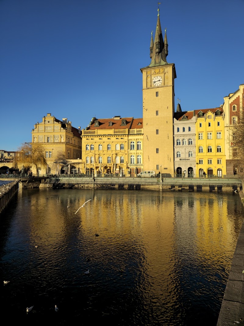 Statue of Bedřich Smetana - Statue of Bedřich Smetana, Novotného lávka, Staré Město, 110 00 Praha-Praha 1, Czechia