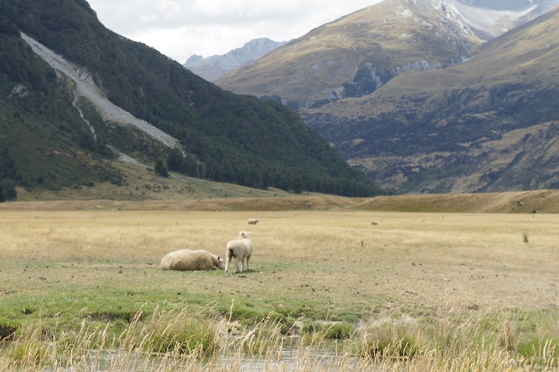 Glenorchy-Paradise Road - Glenorchy-Paradise Road, Otago Region 9372, New Zealand